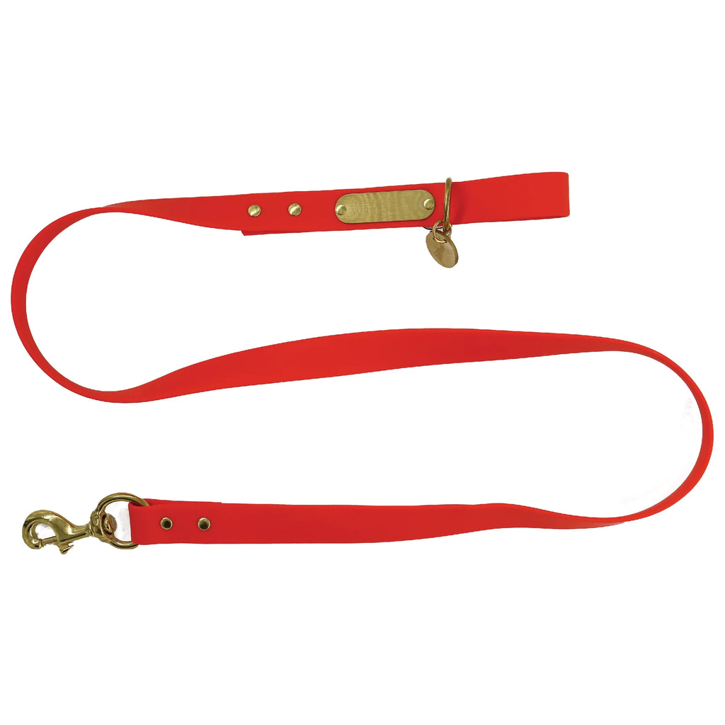 LBO Dog Leash