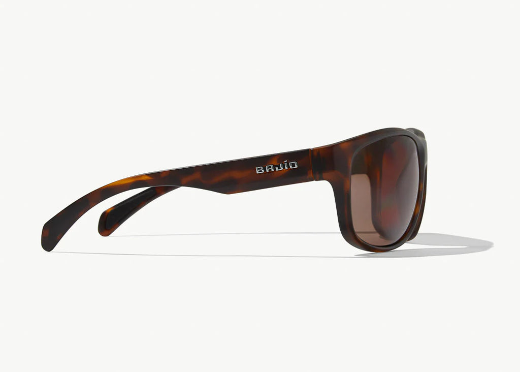 Scuch Sunglasses